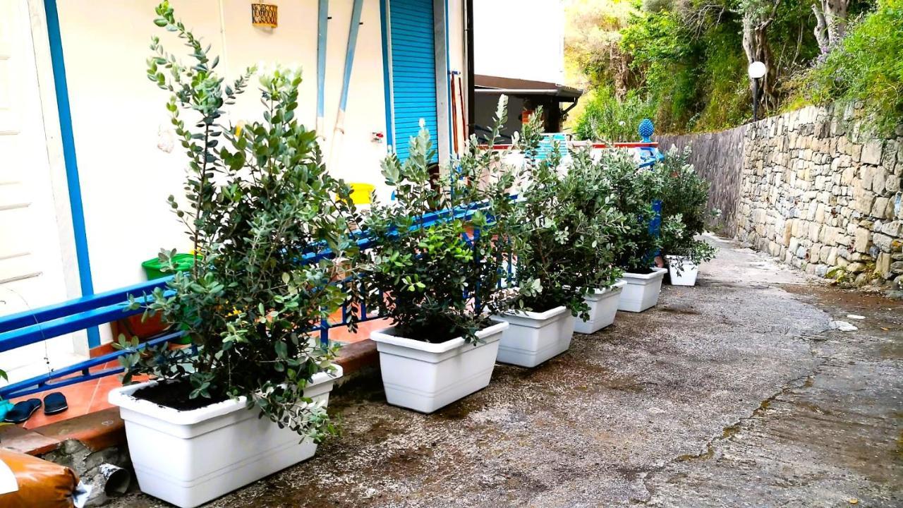 شقة La Casa Di Aurelio Capo dʼOrlando المظهر الخارجي الصورة